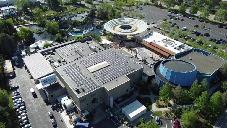 Mystic Aquarium enhances its mission with green energy projects through the Connecticut Green Bank