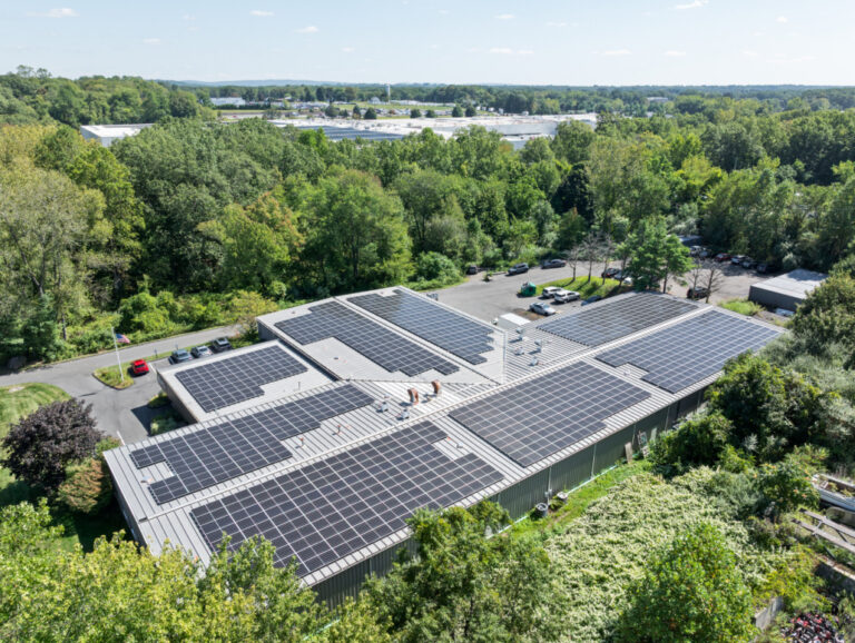 The Best Postcards Steps Towards Sustainability