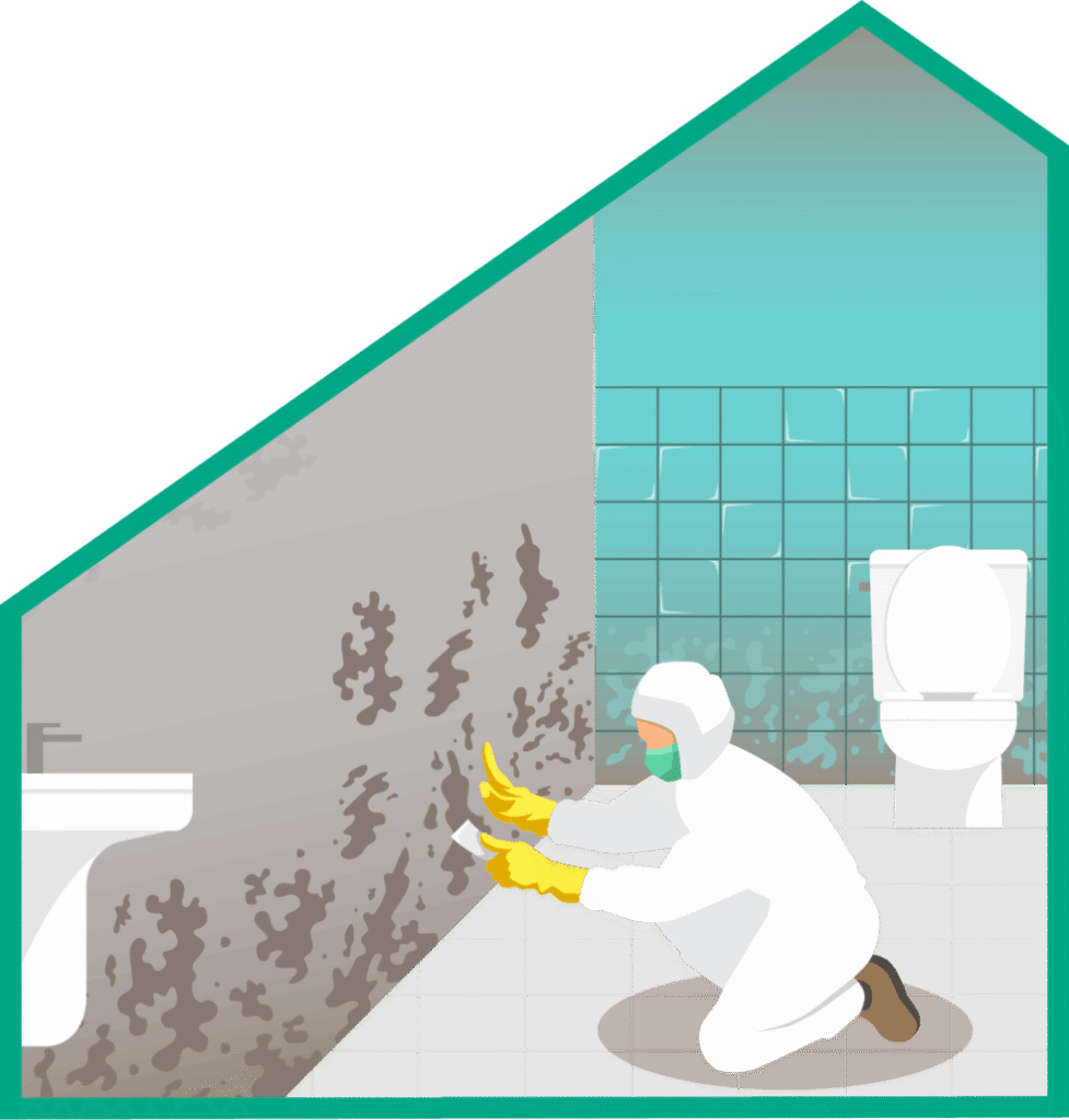 Health and safety upgrades